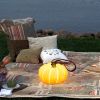 Indoor & Outdoor Pumpkin Lantern LED Lantern for patio terrance camping garden