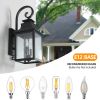 Large Outdoor Wall Lamps With Glass(2pack)