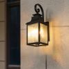 Large Outdoor Wall Lamps With Glass(2pack)